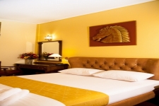 Double Room Single use SPECIAL DISCOUNT NON REFUNDABLE